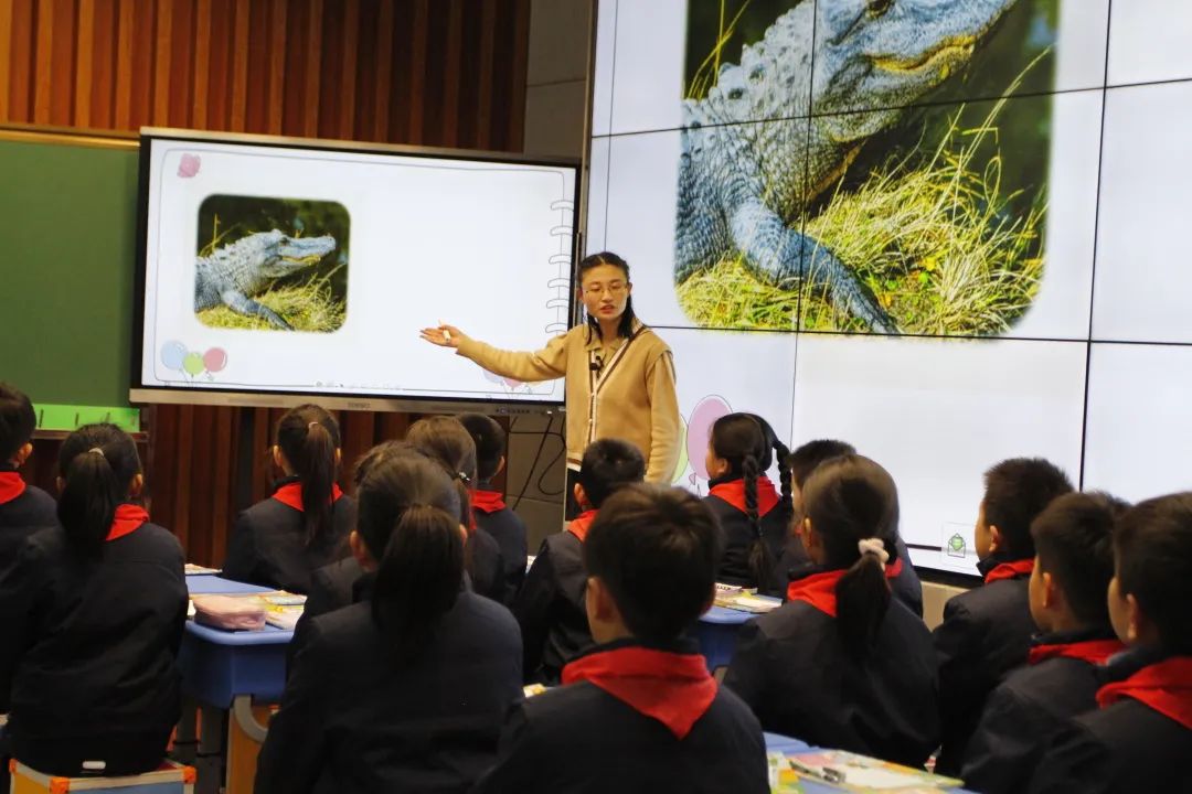 1640791037703092.jpg 1640791037703092.jpg